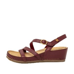 El Naturalista N5855 PICUAL