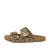 N5797 BALANCE